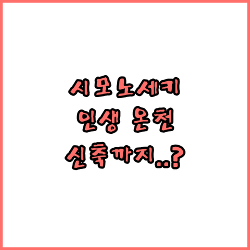 시모노세키 일본 온천 호텔 추천 도미..