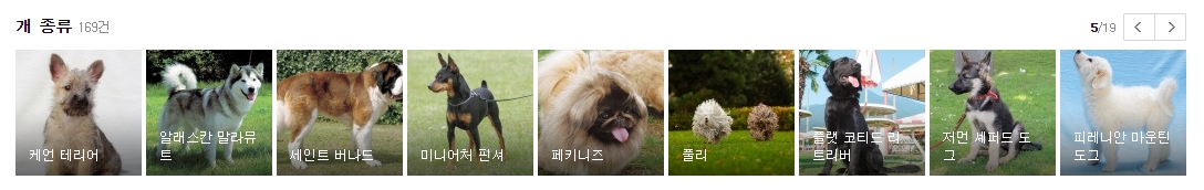 케인 테리어와 미니어처 핀셔 및 페키니즈의 귀여운 모습