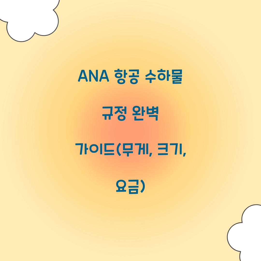 ANA 항공 수하물 규정