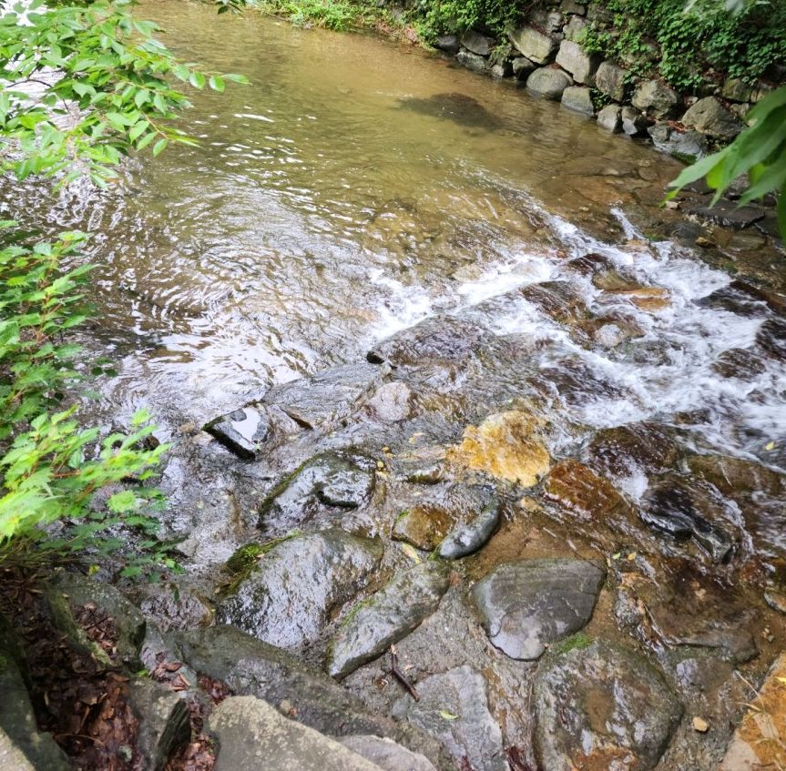 강당골계곡