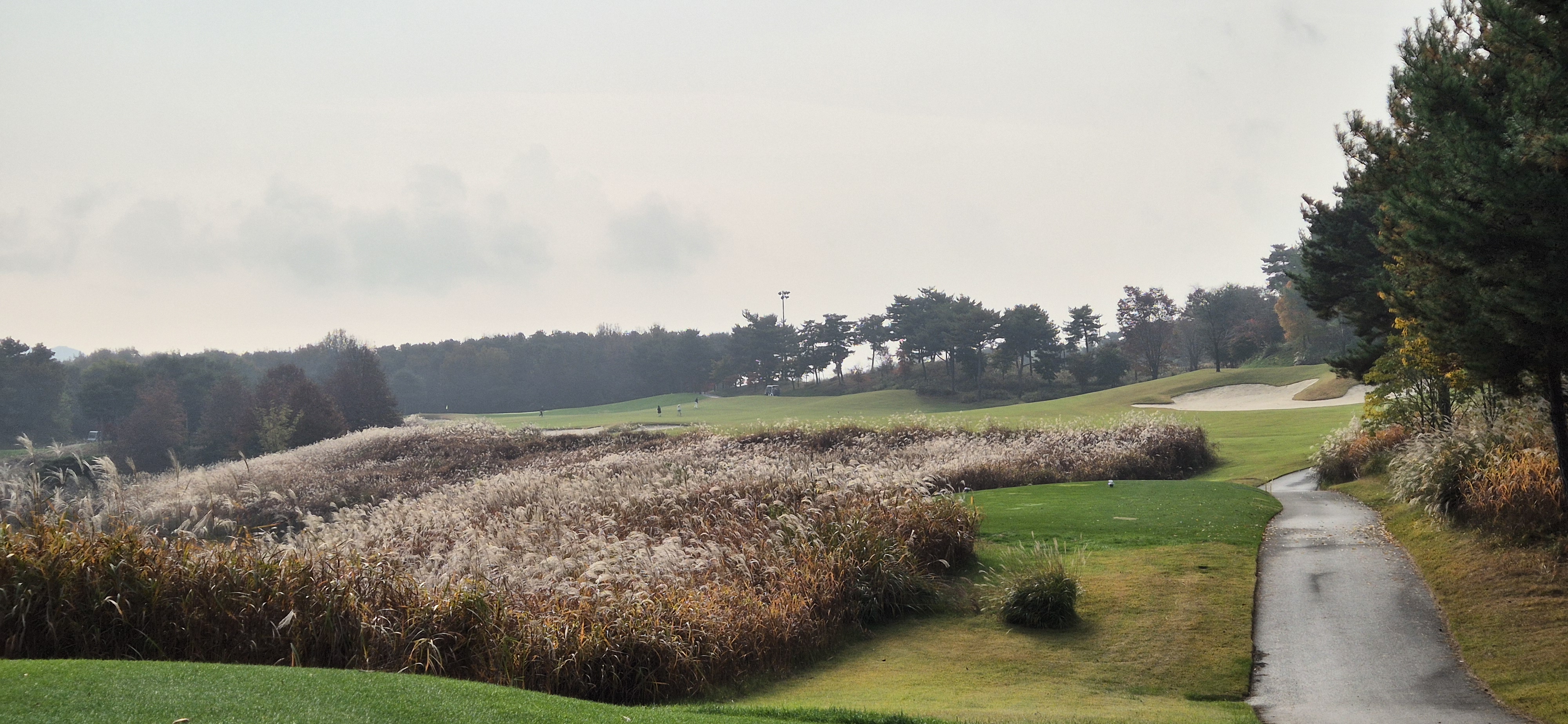 마이다스레이크 이천cc 올림푸스 코스 사진 및 공략 정보