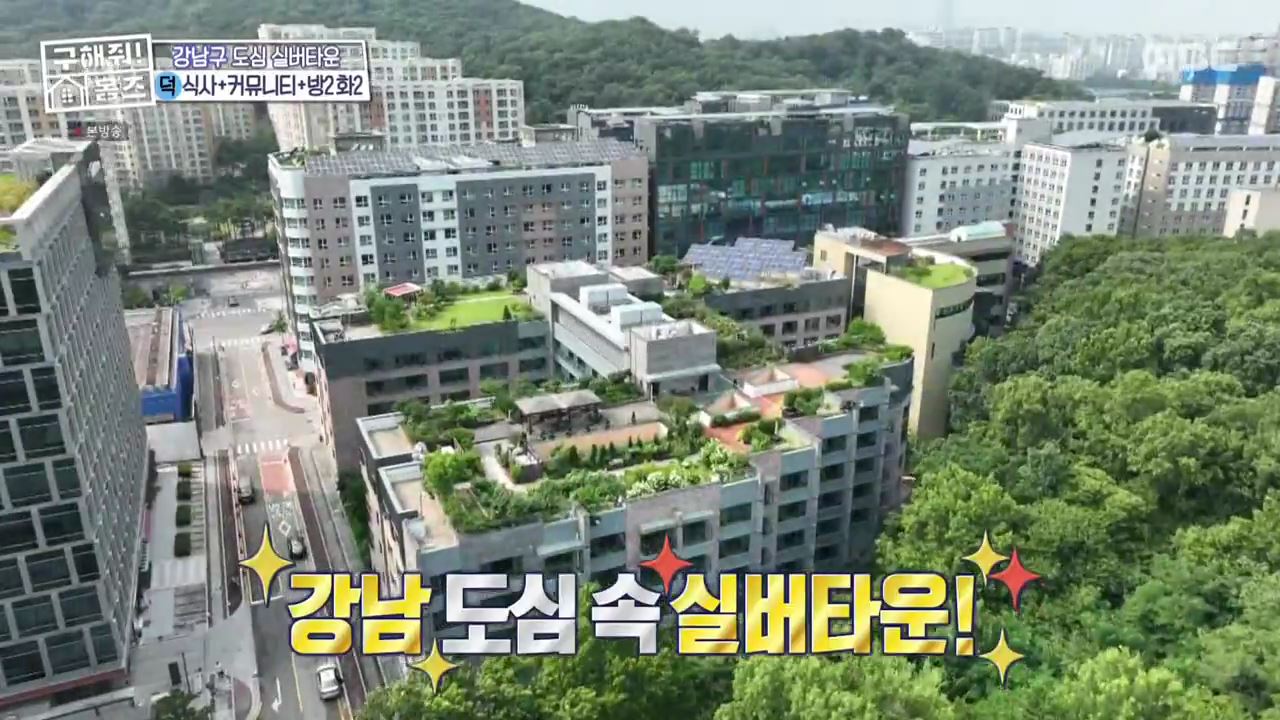 구해줘홈즈 서울시 강남구 자곡동 문을 여시오 하우스 매물 입주보증금 7억9천 월생활비 336만원 조건 소개