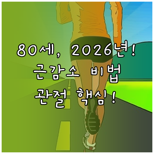 정해생 80세 돼지띠 2026년 관절..