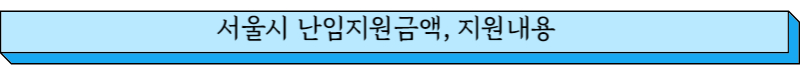 서울시 난임지원금액, 지원내용