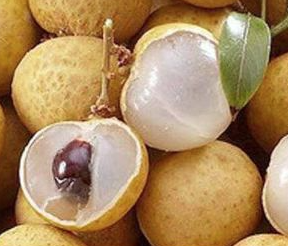 롱간이란 어떤 과일일까