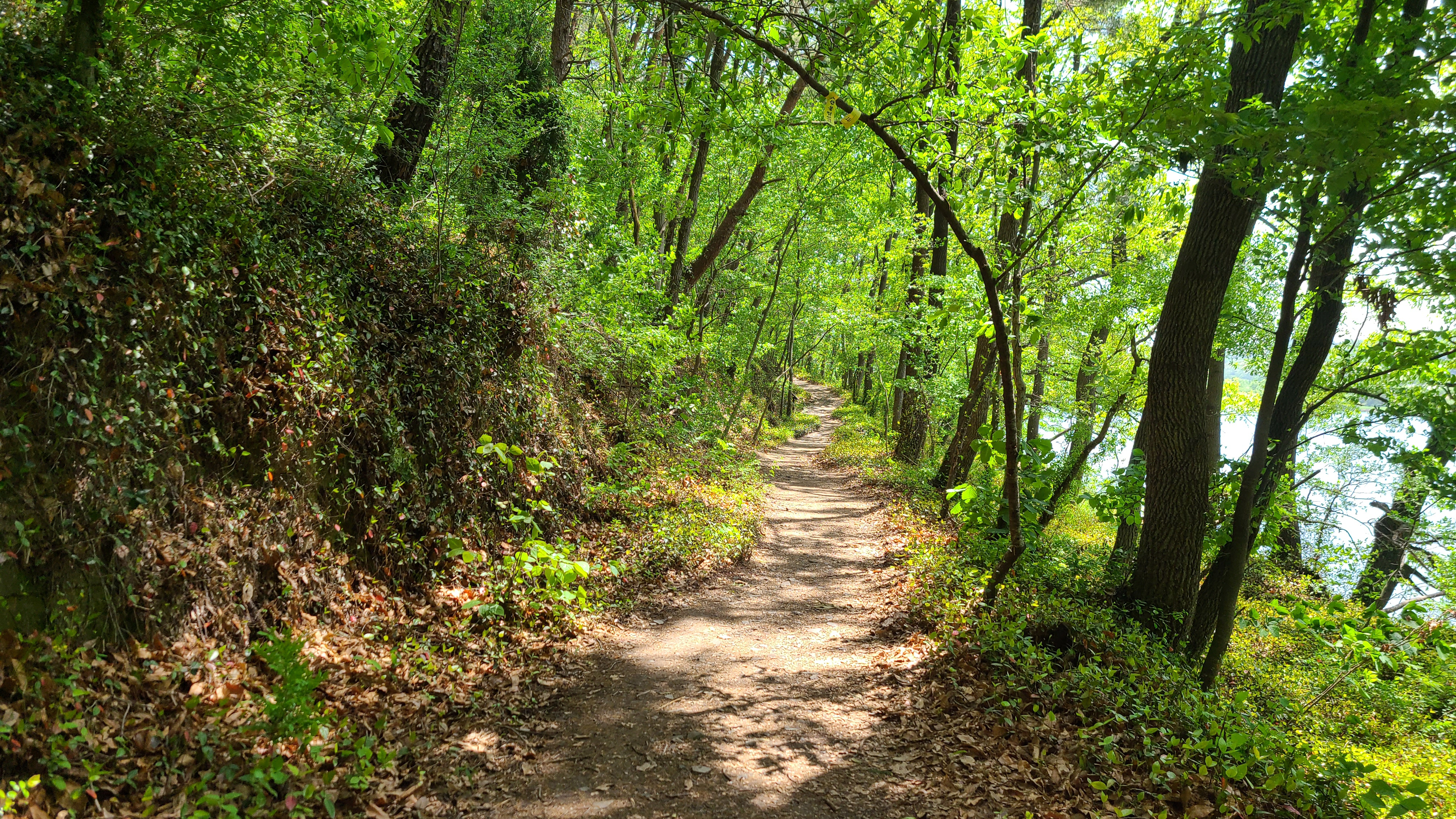 창녕 남지 개비리