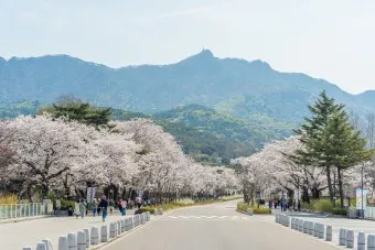 서울대공원 캠핑장 둘레길 동물원 입장료 맛집_5