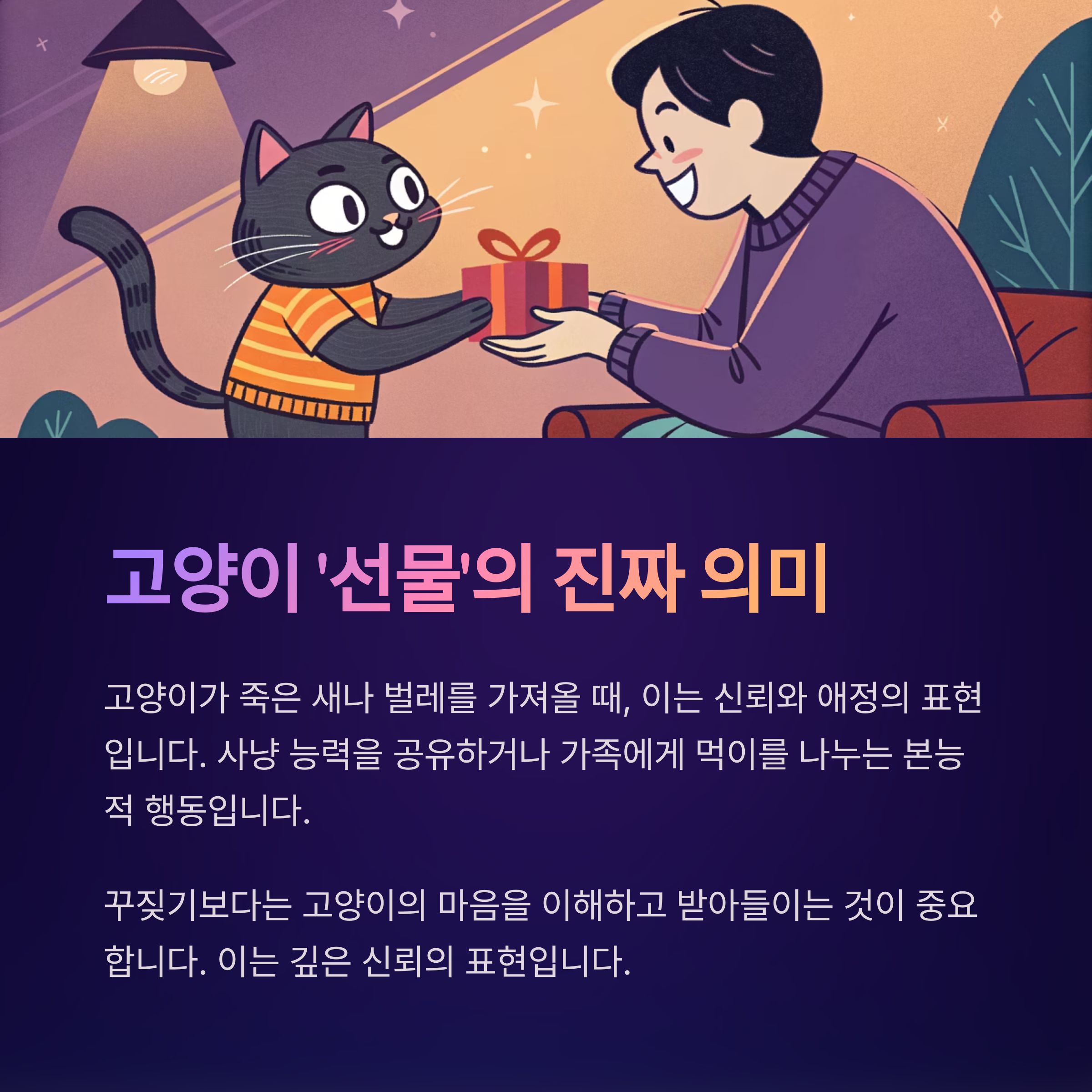 고양이 선물의 진짜 의미