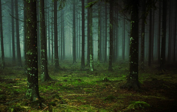 청와대 국민청원홈페이지 지금 확인 20