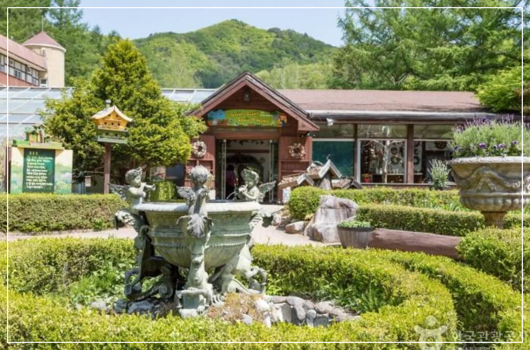 평창 가볼만한곳 베스트10 허브나라농원