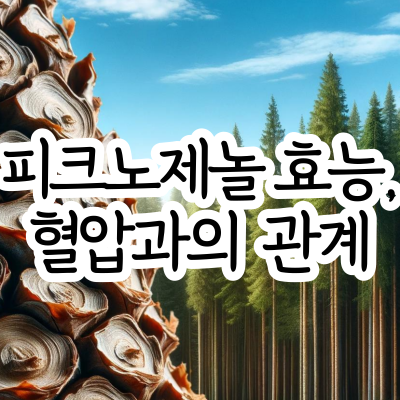 피크노제놀 효능 부작용 피크노제놀 복용법