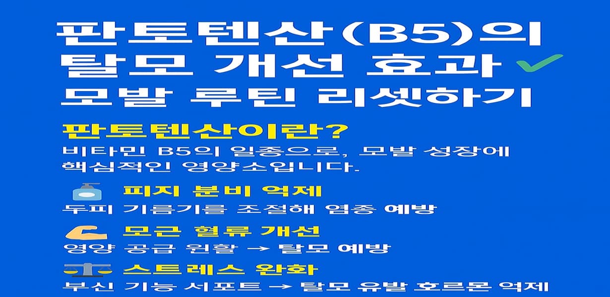 “판토텐산(B5)의 탈모 개선 효과를 설명한 인포그래픽 이미지”
