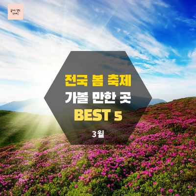 전국 봄 축제 가볼 만한 곳 BEST 5 (3월)
