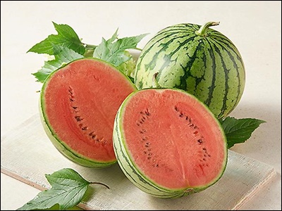 수박의 효능