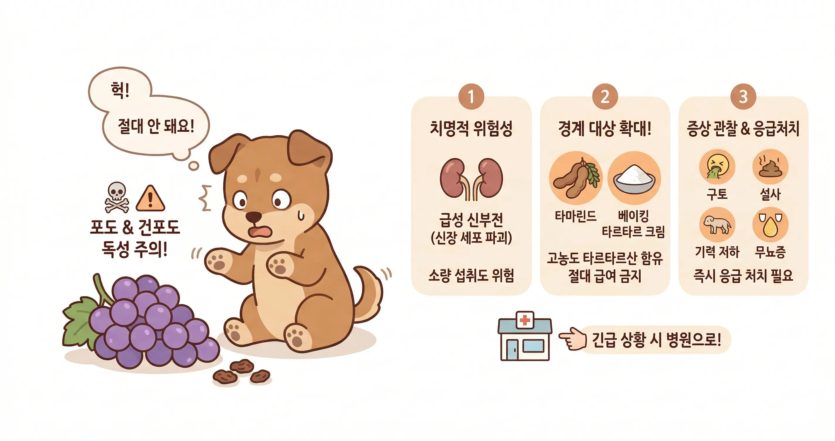 강아지 포도 건포도 타르타르산 독성 주의