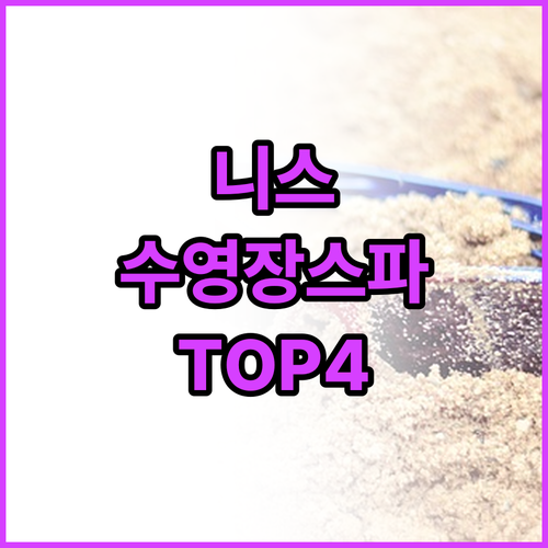 니스 여행 숙소 분석 수영장과 스파 ..