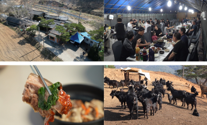 극한직업 밥주는 민박집