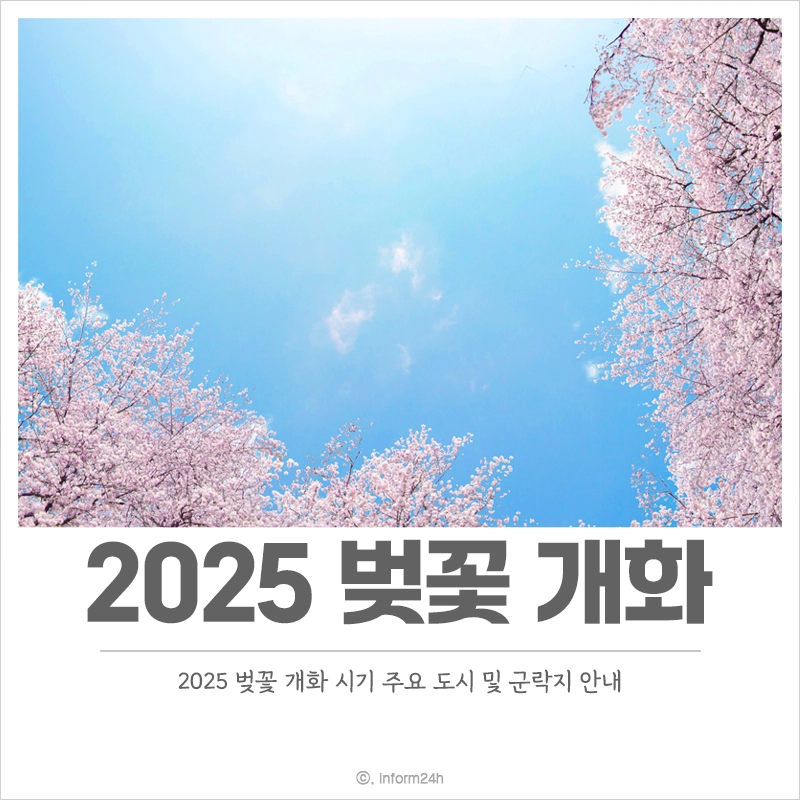 2025-벚꽃-개화-시기-주요도시-군락지