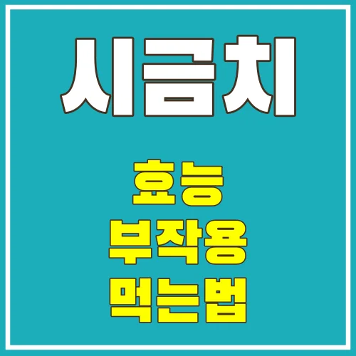 시금치의효능