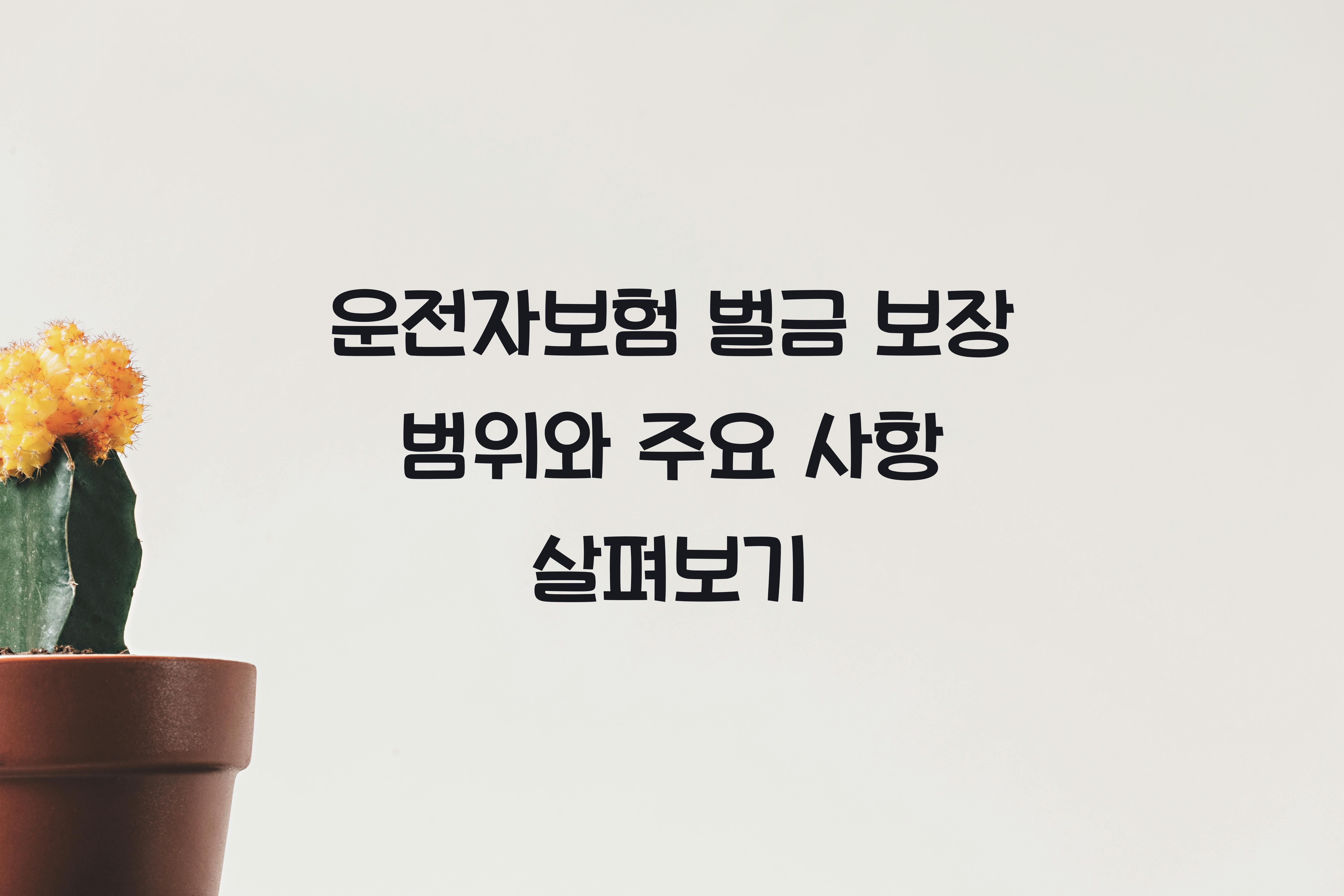 운전자보험 벌금 보장 범위