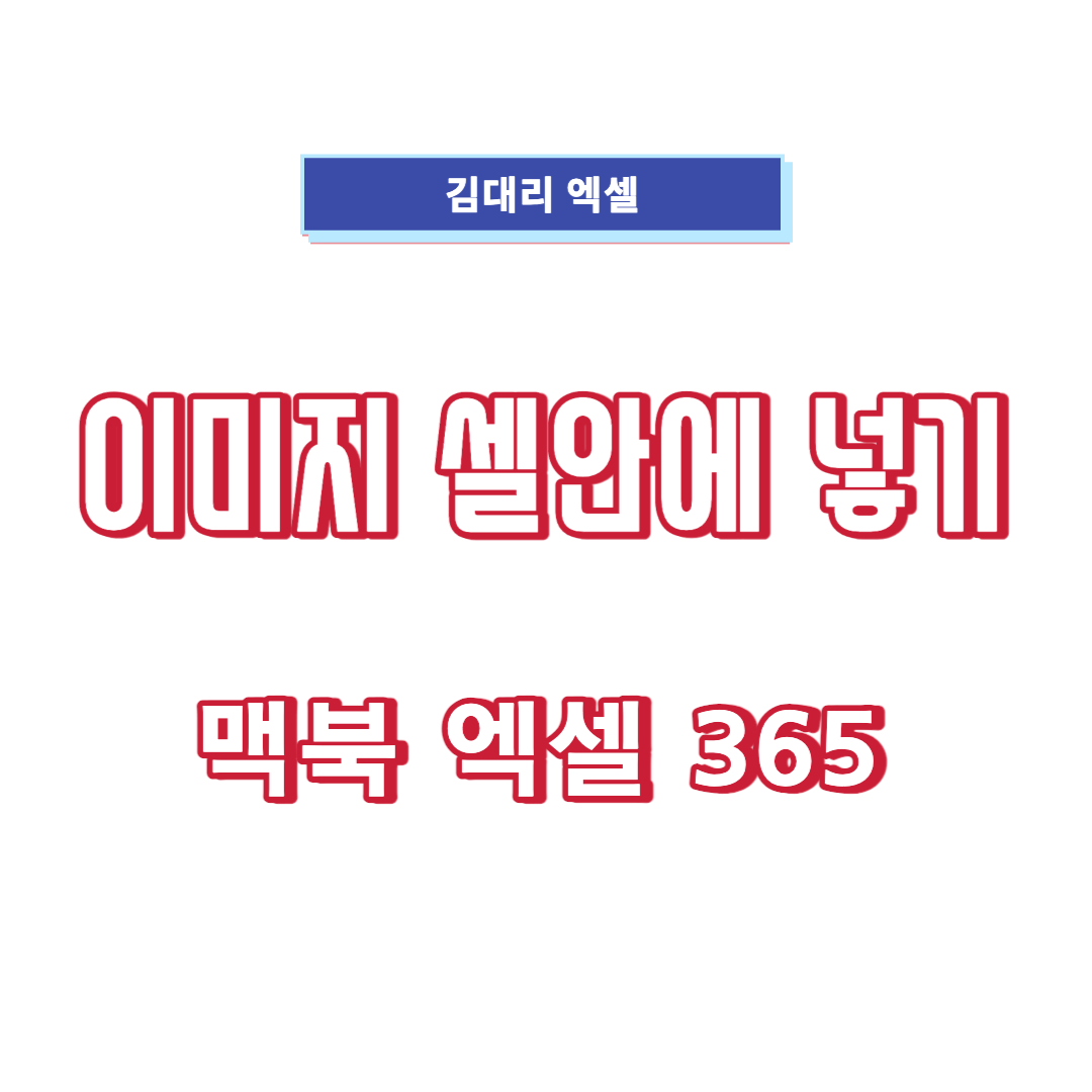 이미지-셀안에-넣기