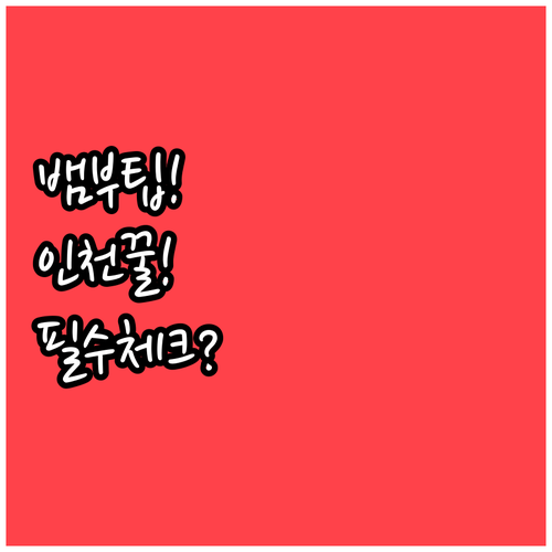 뱀부 항공 인천 제1터미널 이용 시 ..
