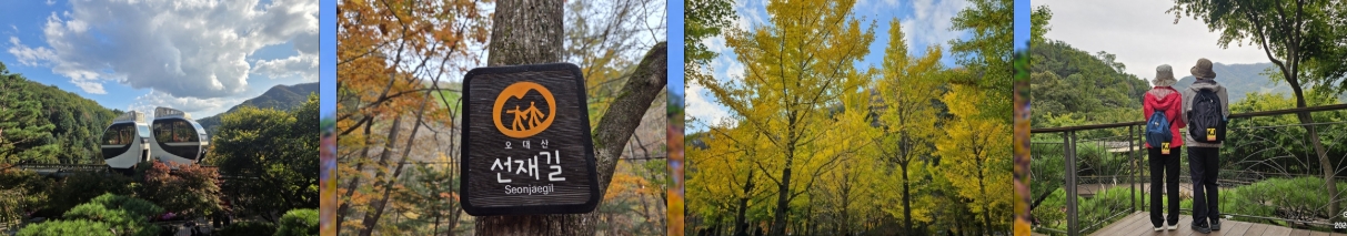 케이제이산악회 회원이라면 꼭 읽어야 할 2025 등산 팁 TOP5