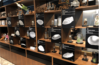 서울식물원 씨앗도서관 전시2