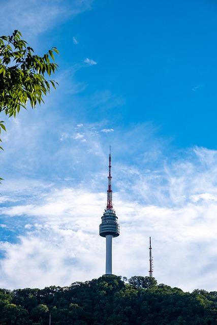 운전면허 사진 규정 바뀌었나요? 재발급 전 꼭 확인하세요!