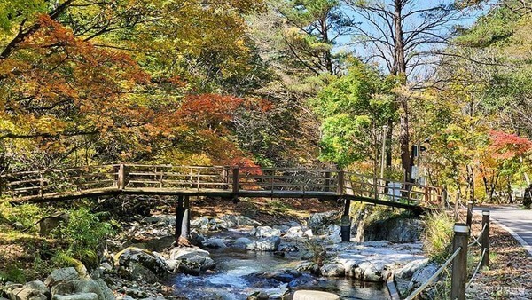 방태산 아침가리 숲길