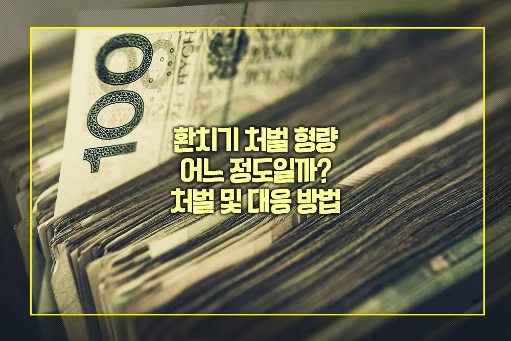 환치기 처벌 형량 대응 방법