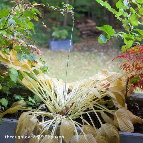 New born 혁오 가사 해석 번역 곡정보 HYUKOH 방탄소년단 BTS RM 인스타 추천