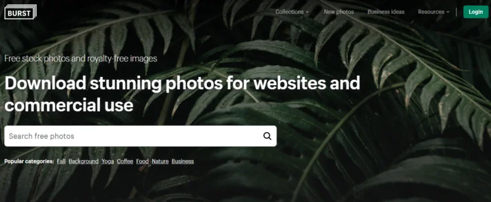 무료 이미지 Burst