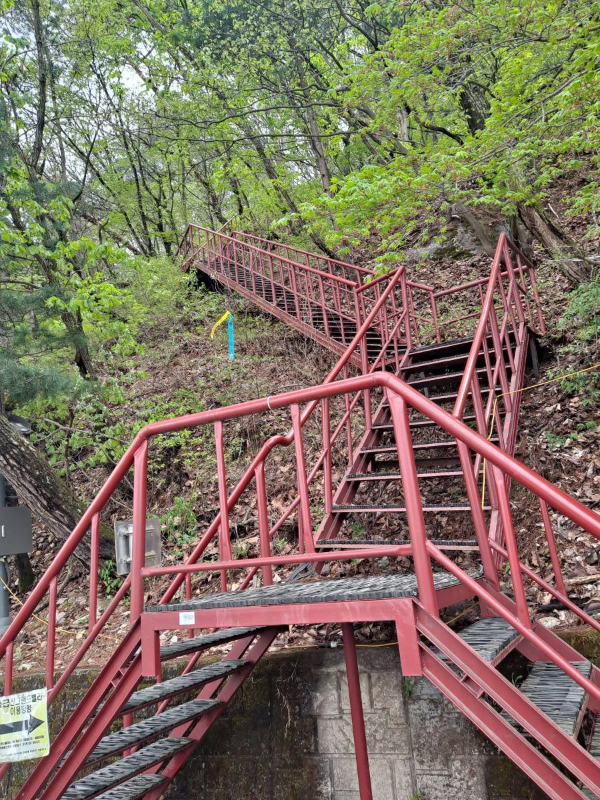 소금산 등산로 계단