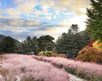 아침고요수목원_5