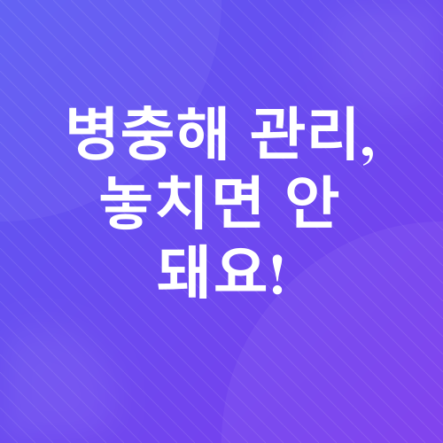 벤자민나무 관리_5