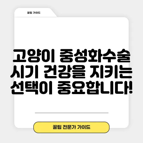 고양이 중성화수술 시기 건강을 지키는 선택이 중요합니다!