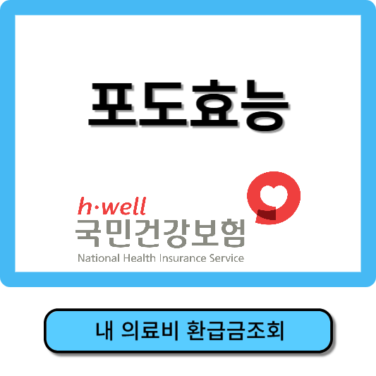 포도효능, 포도종류