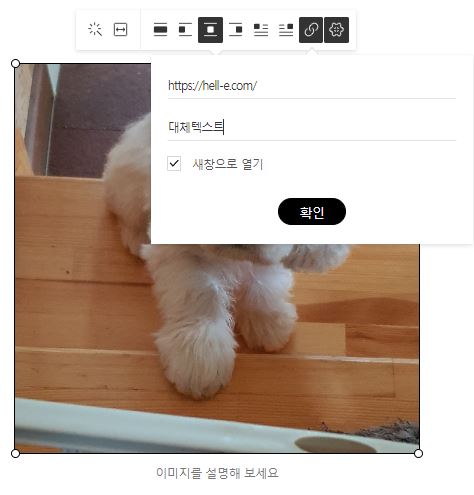 대체택스트