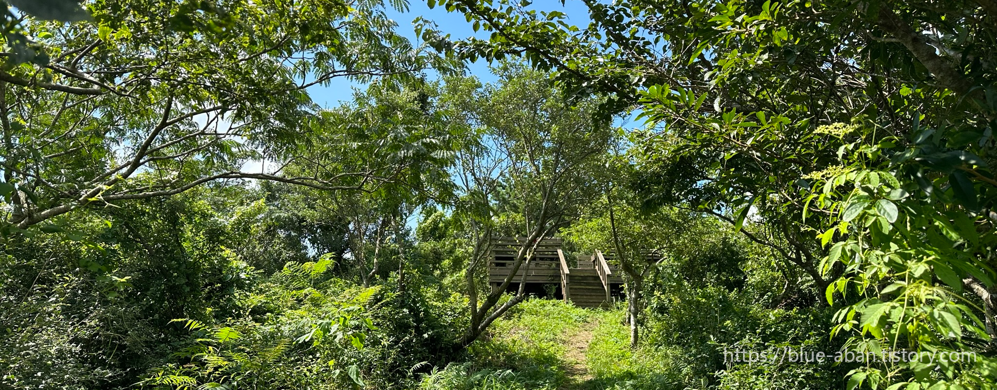 우진제비 오름 정상