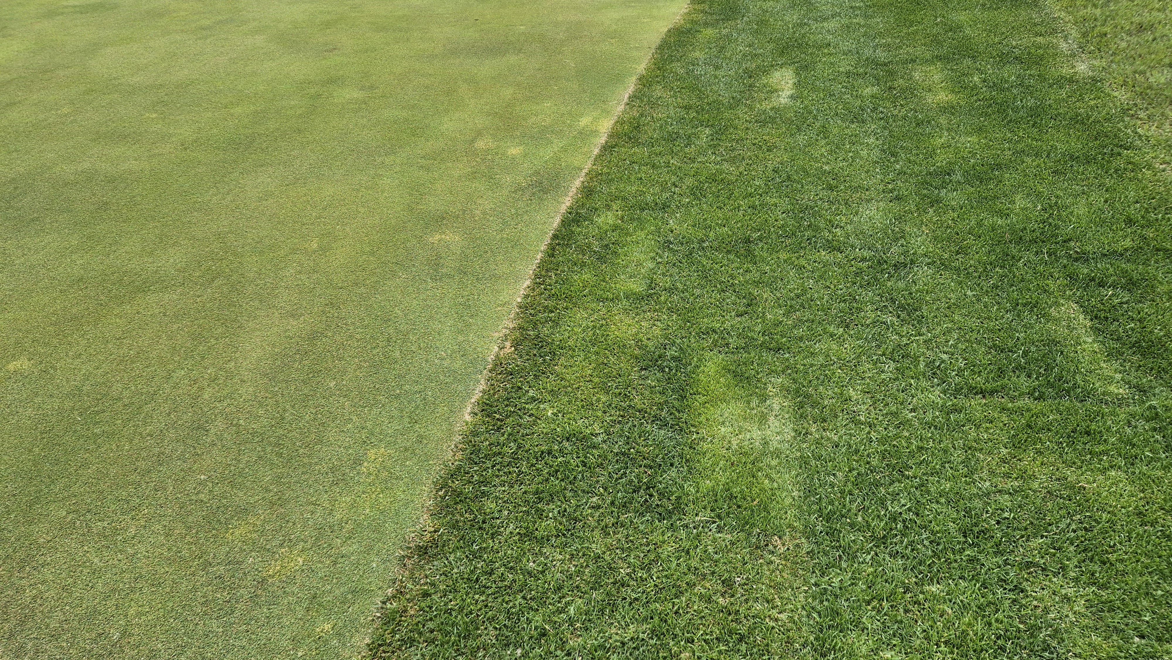 엘리시안 강촌cc 라운드 후기