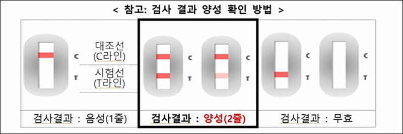 코로나19 검사 결과 양성 확인 방법