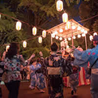 9월 도쿄 축제: 아카사카 히카와 축제