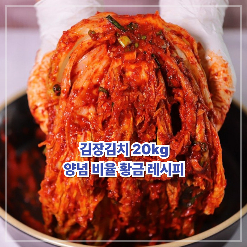 김장김치
