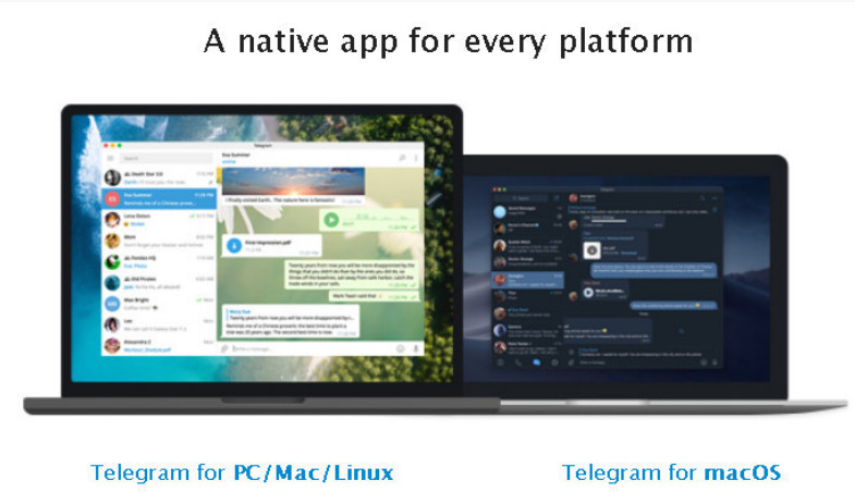 텔레그램-플랫폼