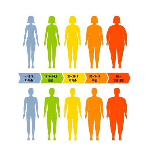 건강생활실천지원금 신청방법