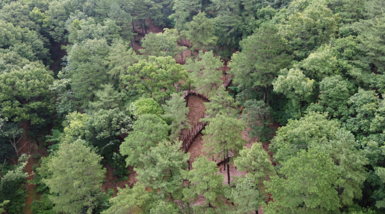 무봉산 자연휴양림
