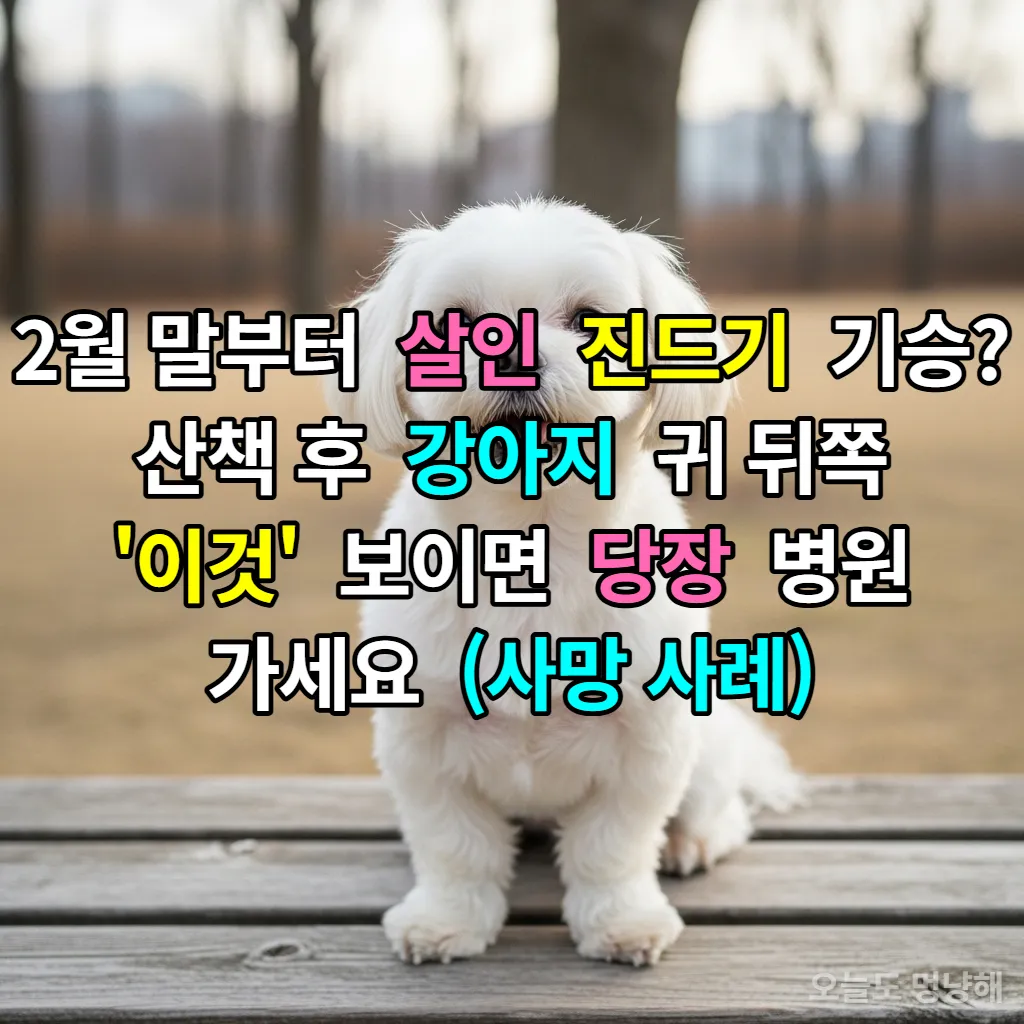 서울 공원 벤치에 앉아 있는 귀여운 말티즈 강아지와 뒤로 보이는 마른 풀숲 배경