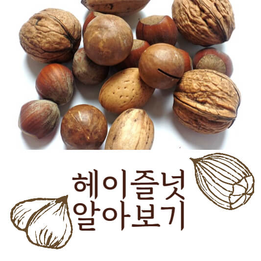 헤이즐넛