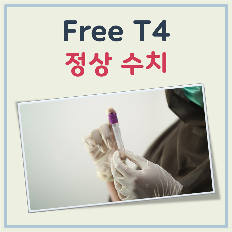 free T4 정상수치